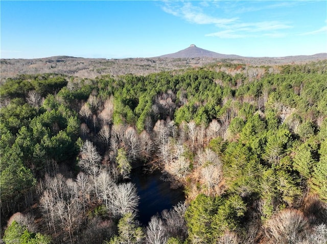 LOT1-0 Bowen Rd, Pinnacle, NC 27043