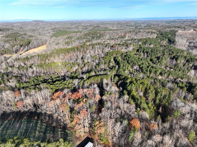 LOT1-0 Bowen Rd, Pinnacle, NC 27043