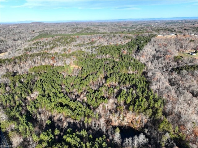 LOT1-0 Bowen Rd, Pinnacle, NC 27043