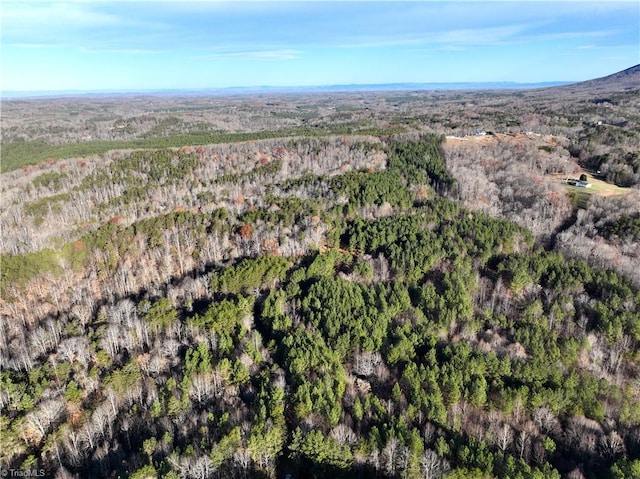 LOT1-0 Bowen Rd, Pinnacle, NC 27043