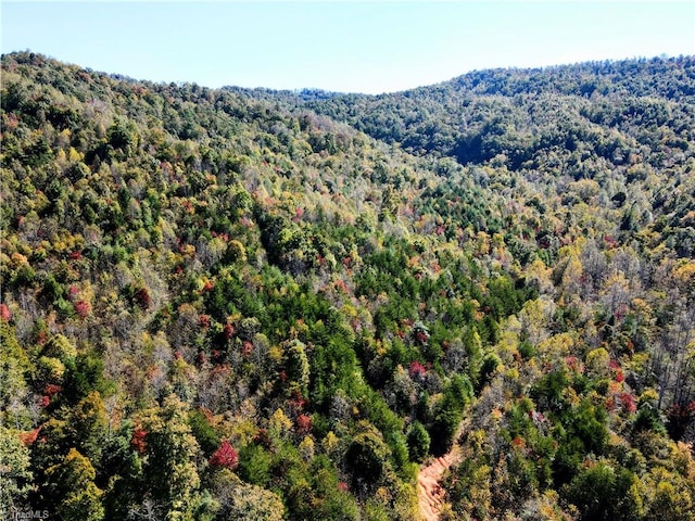 TBD Foster Payne Road, Boomer NC, 28606 land for sale