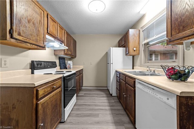 kitchen with a textured ceiling, light wood-type flooring, sink, and white appliances