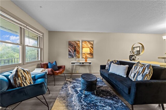 living room with a textured ceiling and hardwood / wood-style floors