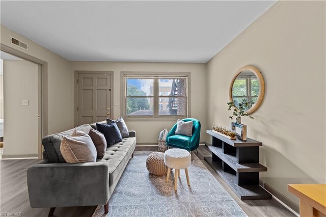 living room featuring wood-type flooring