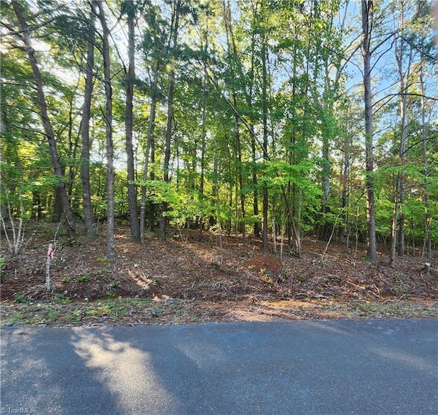 320 Balsam Cir, Troy NC, 27371 land for sale