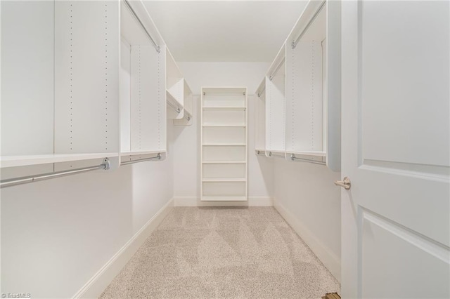 spacious closet featuring light colored carpet