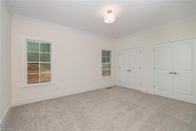 unfurnished bedroom featuring two closets, light colored carpet, and ornamental molding