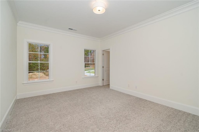 spare room with carpet floors and crown molding