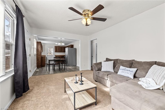 living room featuring ceiling fan with notable chandelier and carpet floors