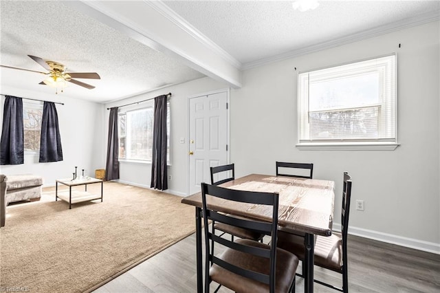 dining area featuring ceiling fan, beam ceiling, wood-type flooring, a textured ceiling, and ornamental molding