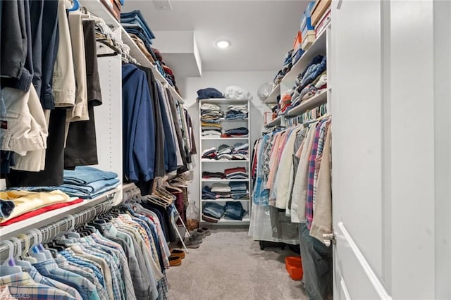 1623 Angus Ridge Dr, Kernersville, NC 27284 - walk in closet with carpet floors