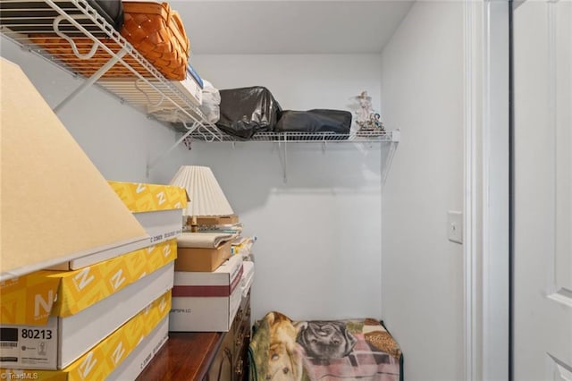 1623 Angus Ridge Dr, Kernersville, NC 27284 - view of spacious closet