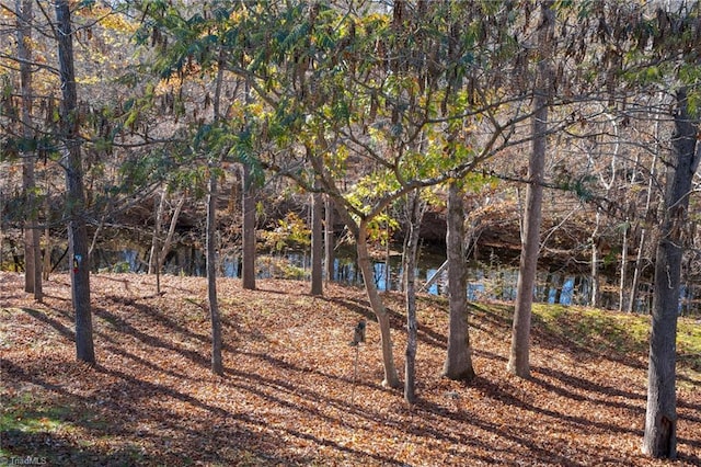 view of yard featuring a water view