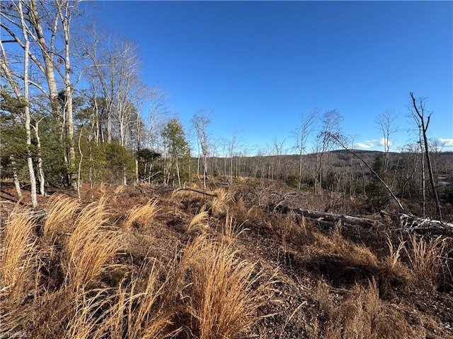 00 Billings Hill Church Rd, Traphill NC, 28685 land for sale