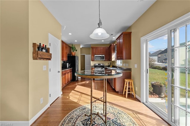 kitchen with decorative light fixtures, light wood-type flooring, stainless steel appliances, and sink