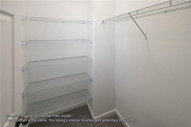 view of walk in closet