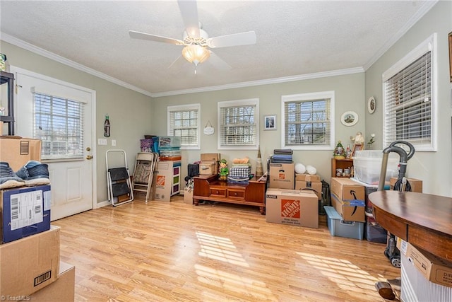 living area featuring ornamental molding, a textured ceiling, and light wood-type flooring