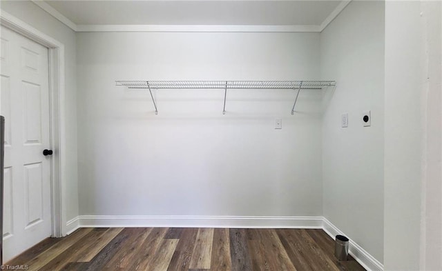 interior space featuring dark wood-style flooring