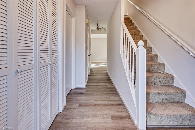 staircase with hardwood / wood-style floors