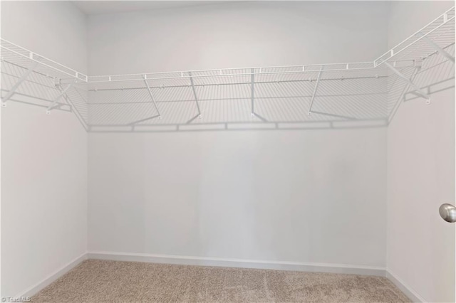 walk in closet with light colored carpet