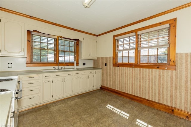 kitchen featuring plenty of natural light, white cabinets, ornamental molding, and sink