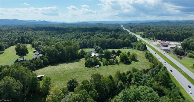 drone / aerial view with a mountain view