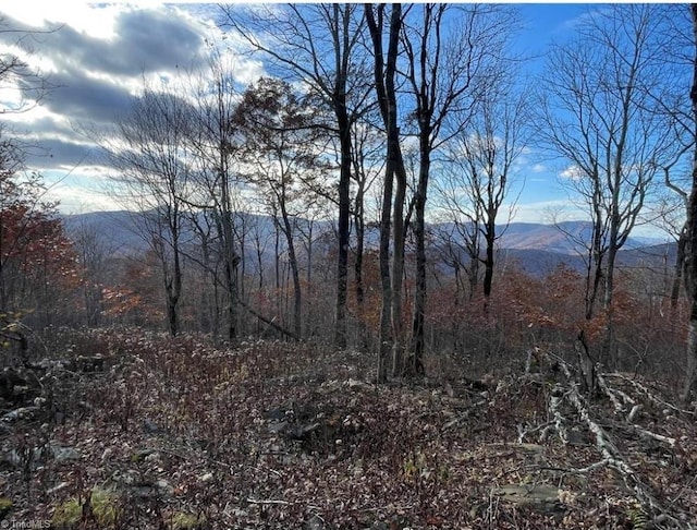 LOT16 Crown Point Rd, West Jefferson, NC 28695