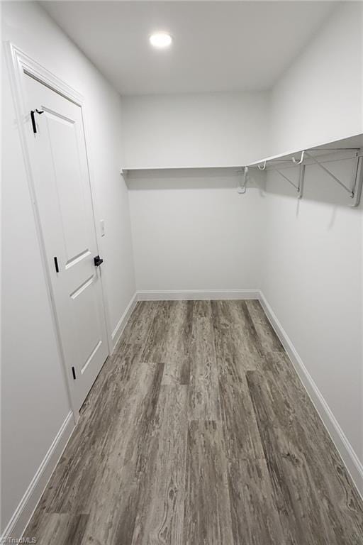 spacious closet featuring wood finished floors