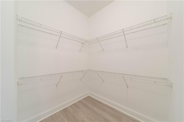 2578 Whipporwill Ct, Rural Hall, NC 27045 - walk in closet with light wood-style flooring