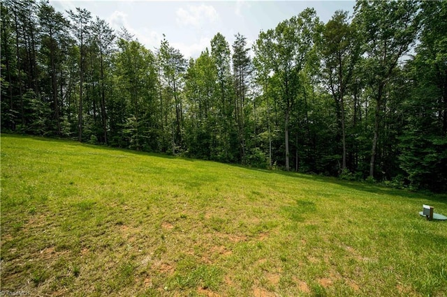 2578 Whipporwill Ct, Rural Hall, NC 27045 - view of green lawn