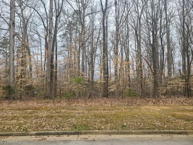 LOT9 Winterberry Dr, Reidsville NC, 27320 land for sale