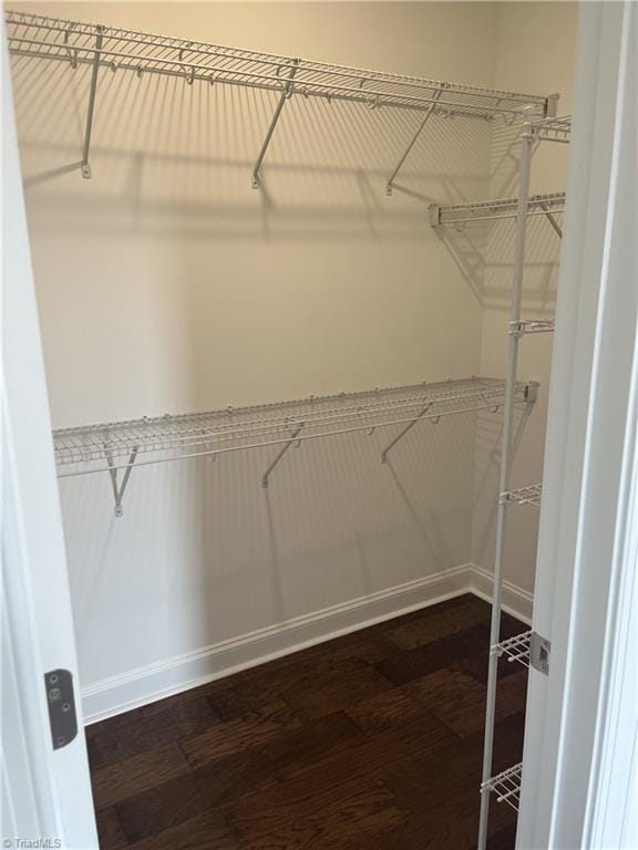 spacious closet with dark wood-style floors