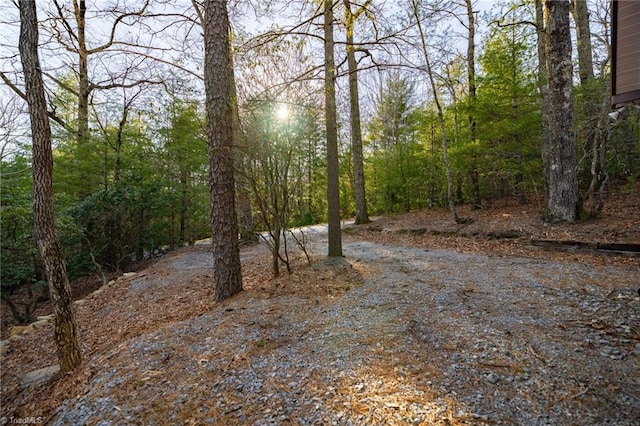 view of landscape