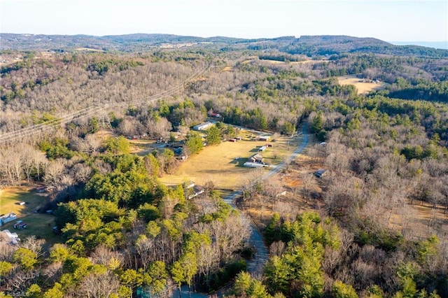 birds eye view of property featuring a forest view