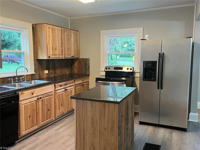 kitchen with light wood finished floors, a kitchen island, ornamental molding, a sink, and appliances with stainless steel finishes