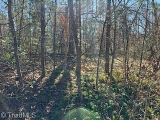 Listing photo 3 for LOT31 Stevens Dr, Jonesville NC 28642