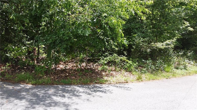 Listing photo 3 for Lot10 Lakepoint Drive Lakeshore, Wilkesboro NC 28697