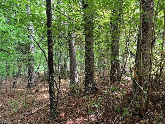 Listing photo 2 for 00 Cedar Trl Unit 2.25Ac, Mount Airy NC 27030