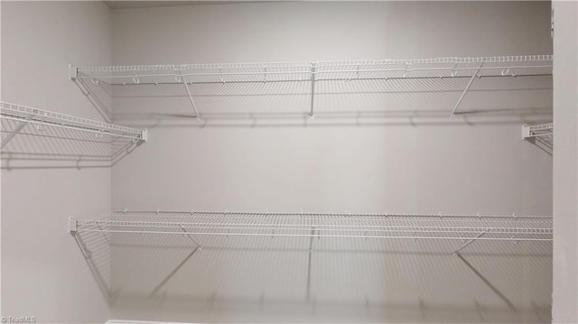 3043 Loch Dr, Winston-Salem, NC 27106 - view of walk in closet