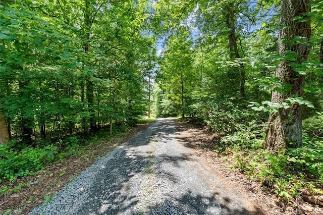 924 Delta Dr, Randleman, NC 27317 - view of road with a view of trees