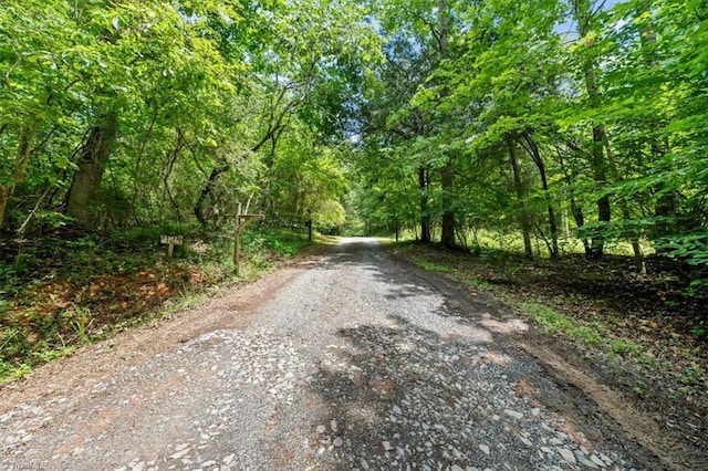 924 Delta Dr, Randleman, NC 27317 - view of dirt / gravel road with a wooded view