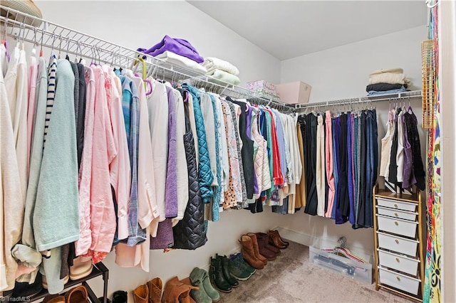 walk in closet featuring carpet