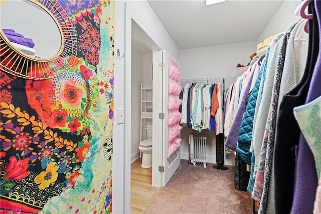 spacious closet with radiator