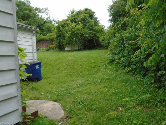 815 Camel Ave, Winston-Salem, NC 27101 - view of green lawn