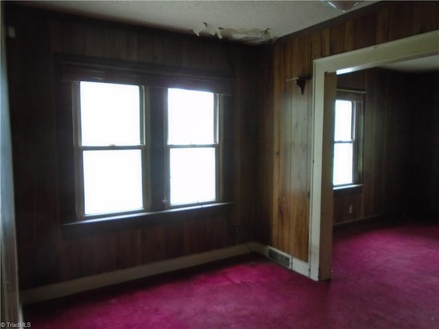 815 Camel Ave, Winston-Salem, NC 27101 - carpeted empty room featuring wood walls and healthy amount of natural light