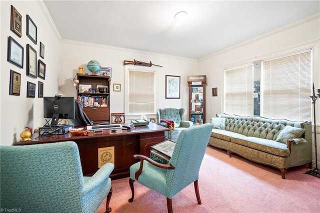 office space featuring ornamental molding and carpet