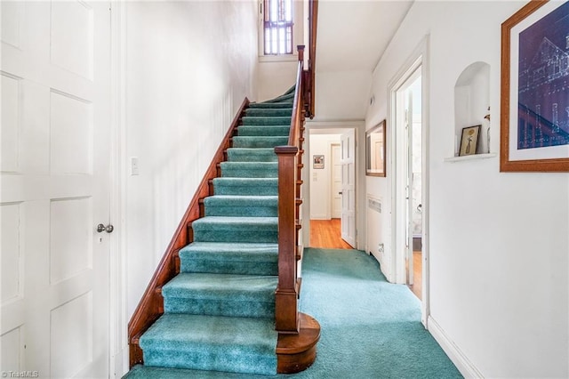 stairs featuring carpet