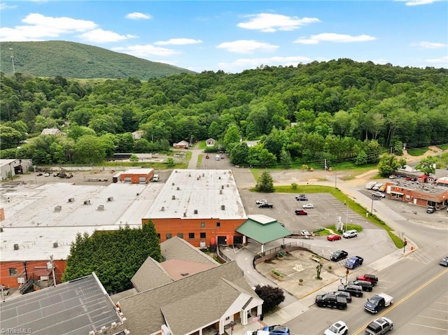 215 S Jefferson Ave Unit 102, West Jefferson, NC 28694 - drone / aerial view of a heavily wooded area