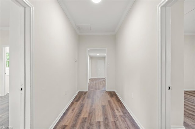 corridor with crown molding and hardwood / wood-style floors