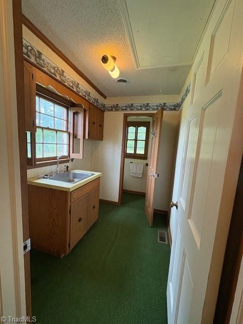 kitchen featuring a sink, carpet, brown cabinets, light countertops, and a textured ceiling